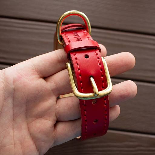 Купить красный кожаный ошейник с адресником для собак в интернет-магазине «Arctic Lion»