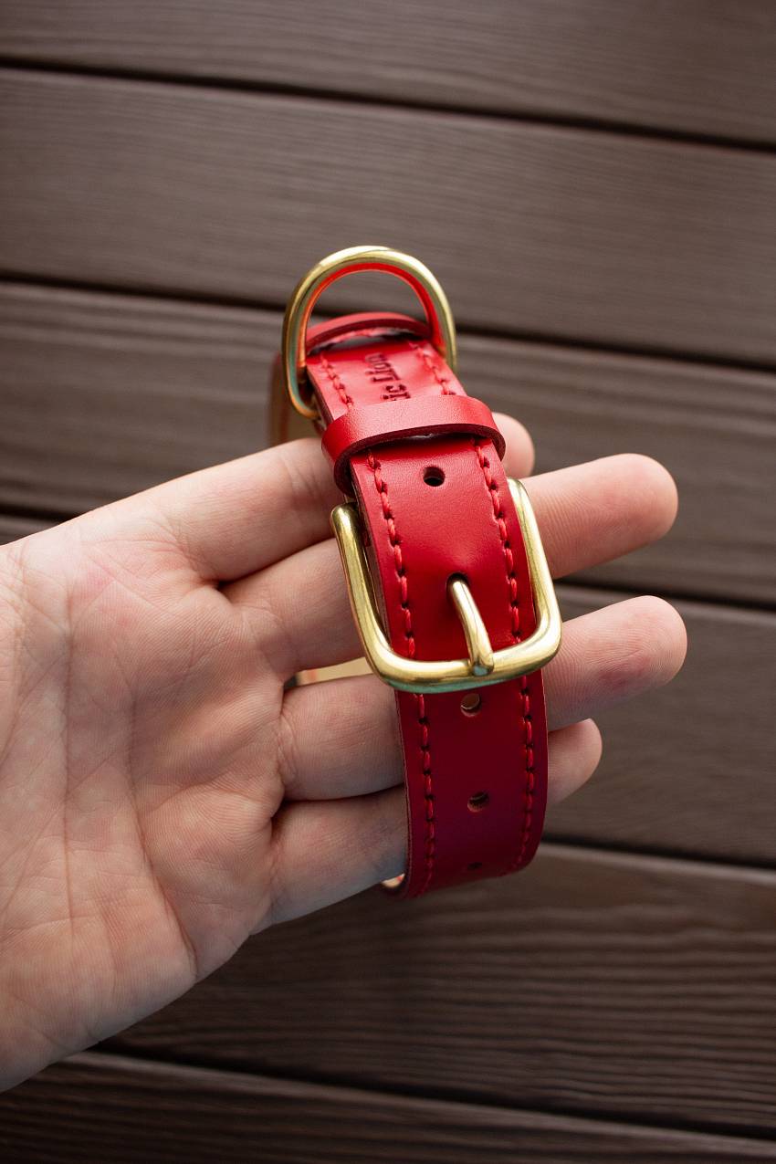 Купить красный кожаный ошейник с адресником для собак в интернет-магазине «Arctic Lion»