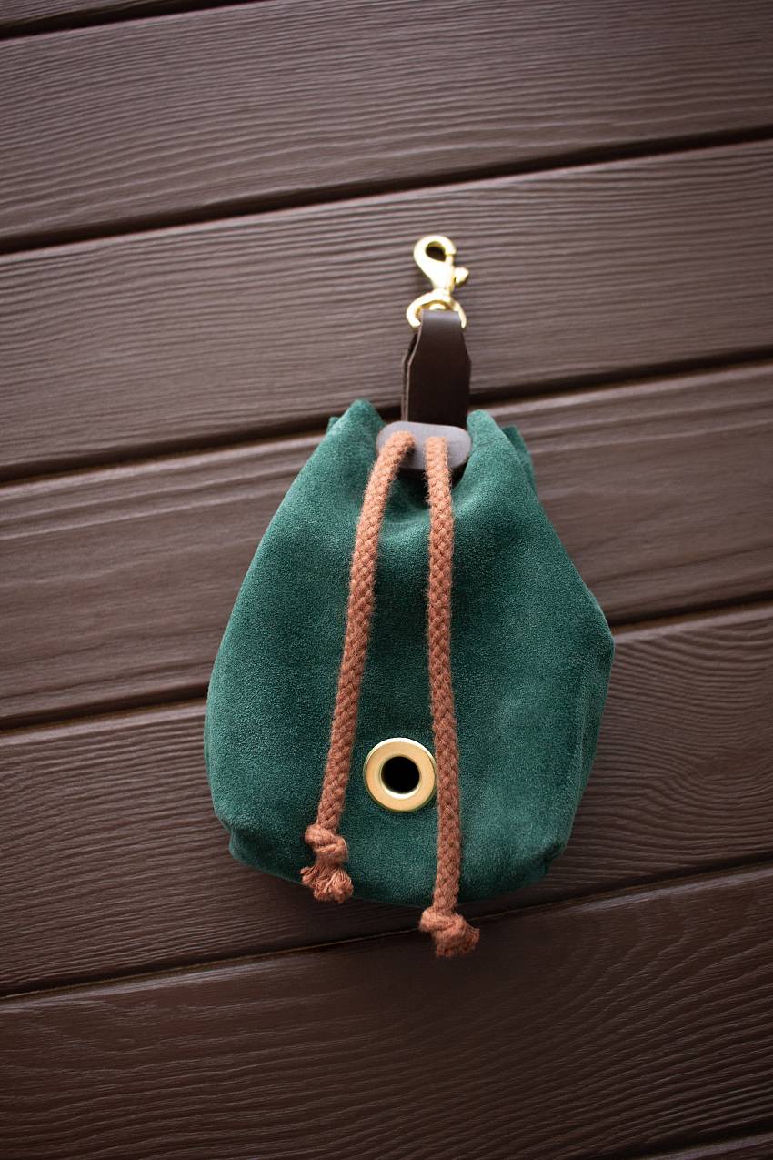 Зеленый мешочек для лакомств 2 в 1, купить сумочку для лакомств Arctic Lion