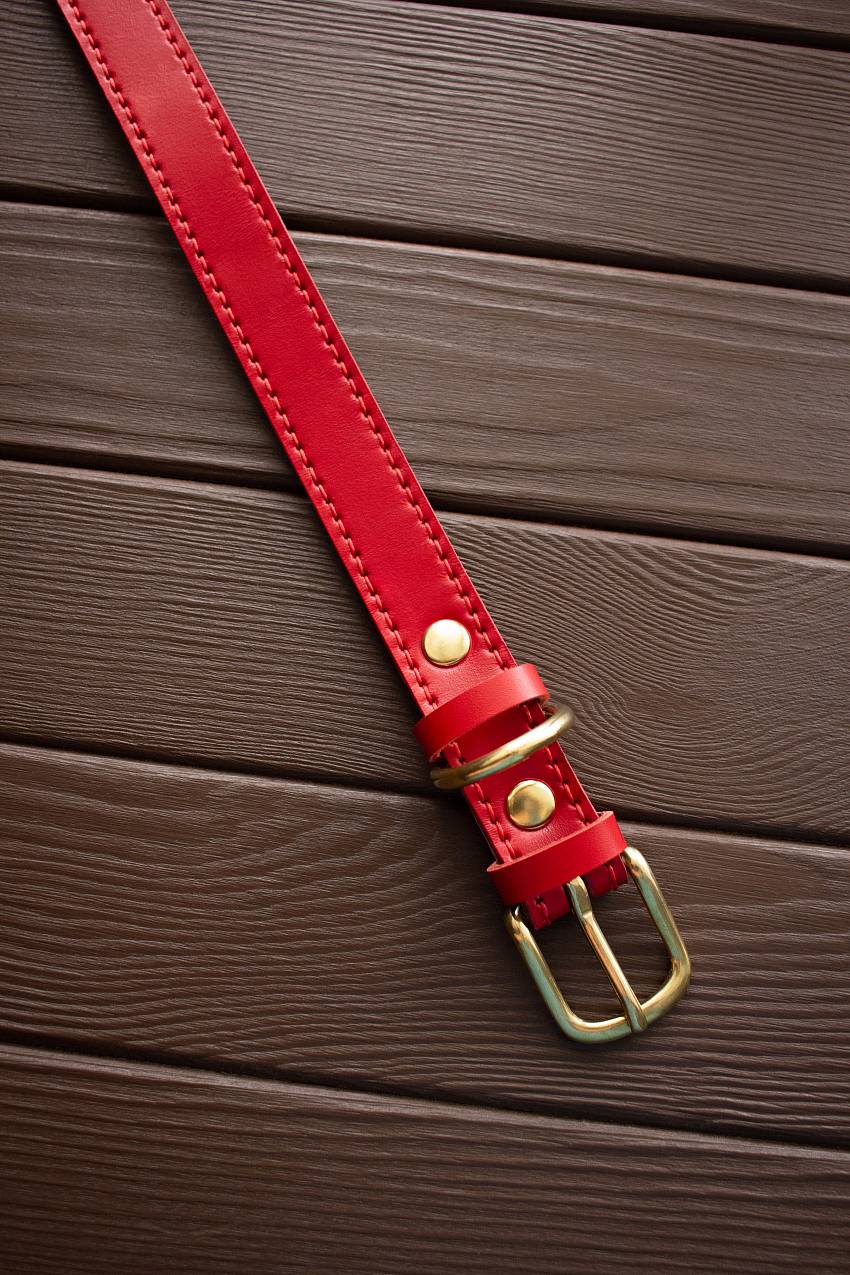 Купить красный кожаный ошейник для собаки в интернет-магазине «Arctic Lion»