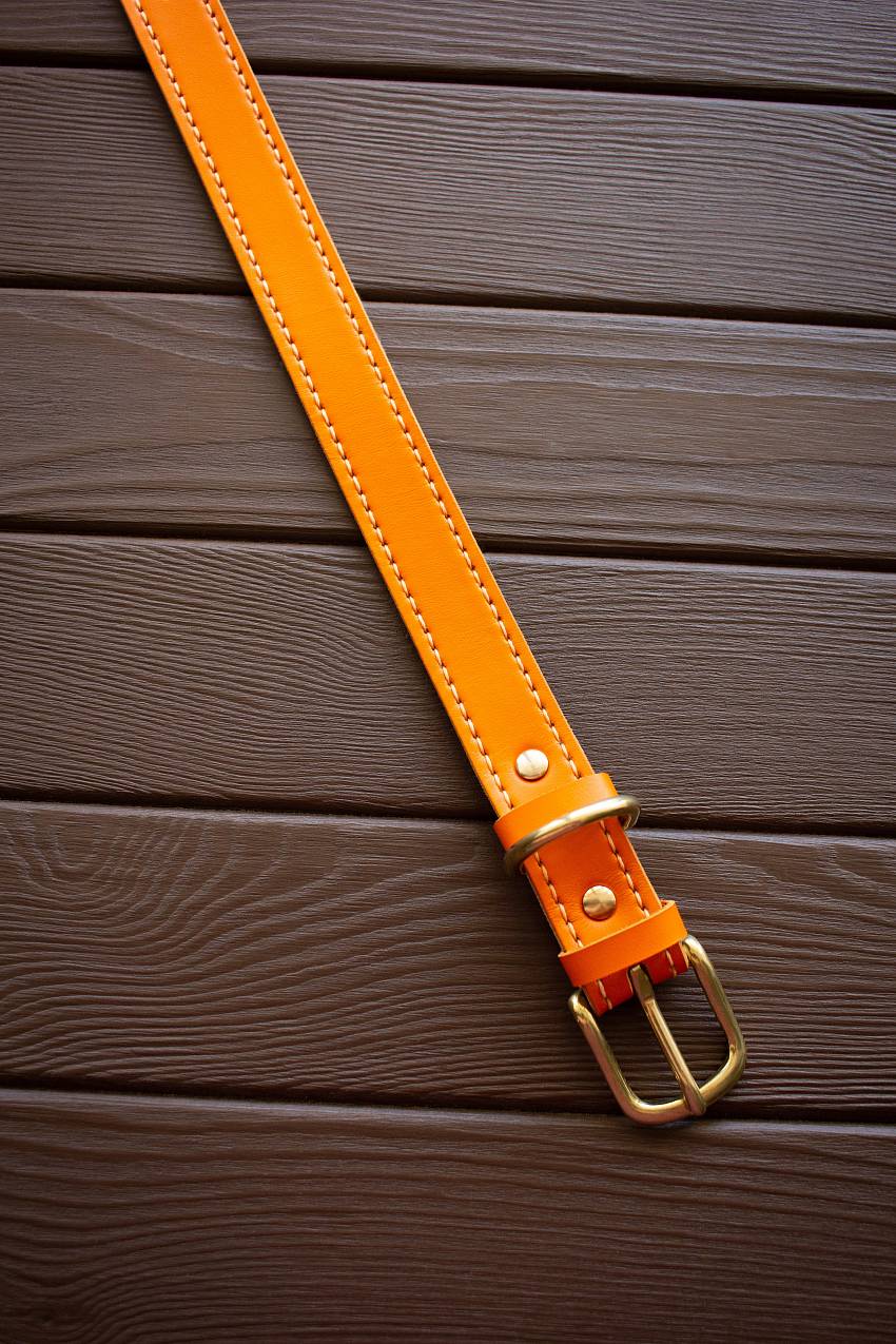 Купить мандариновый (оранжевый) кожаный ошейник для собаки в интернет-магазине «Arctic Lion»