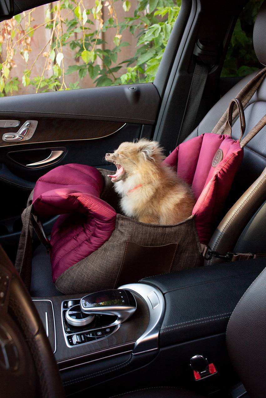 Автокресло для собак Arctic Lion, автокресло для собаки, автокресло для маленьких собак, автокресло для больших собак, автокресло для собаки в машину