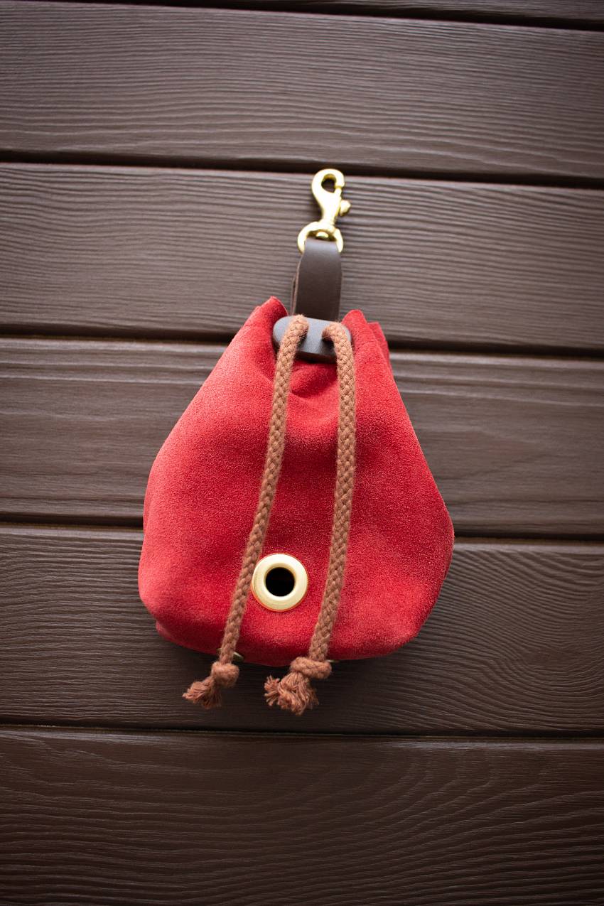Красный мешочек для лакомств 2 в 1, купить сумочку для лакомств Arctic Lion