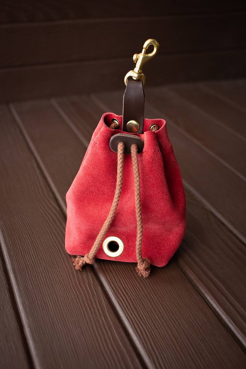 Красный мешочек для лакомств 2 в 1, купить сумочку для лакомств Arctic Lion